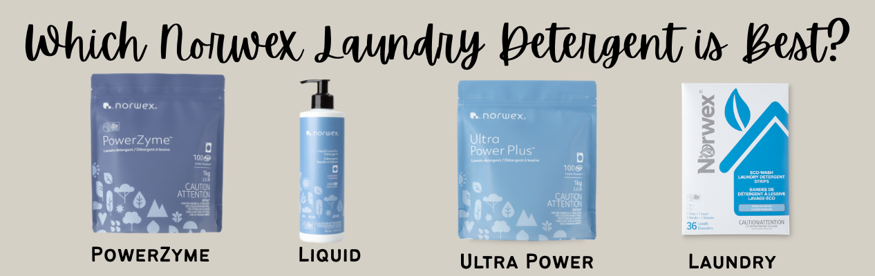 Which Norwex Laundry Detergent is Best?