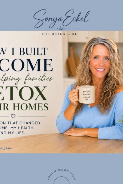 How I built Income helping Detox Our Homes